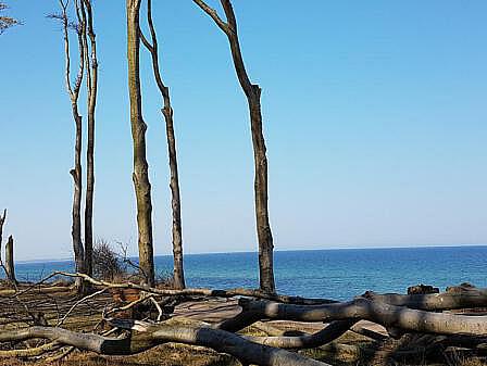 Stolteraa Küstenwald - Thalasso Kurwege Warnemünde - Aktivitäten rund um Warnemünde